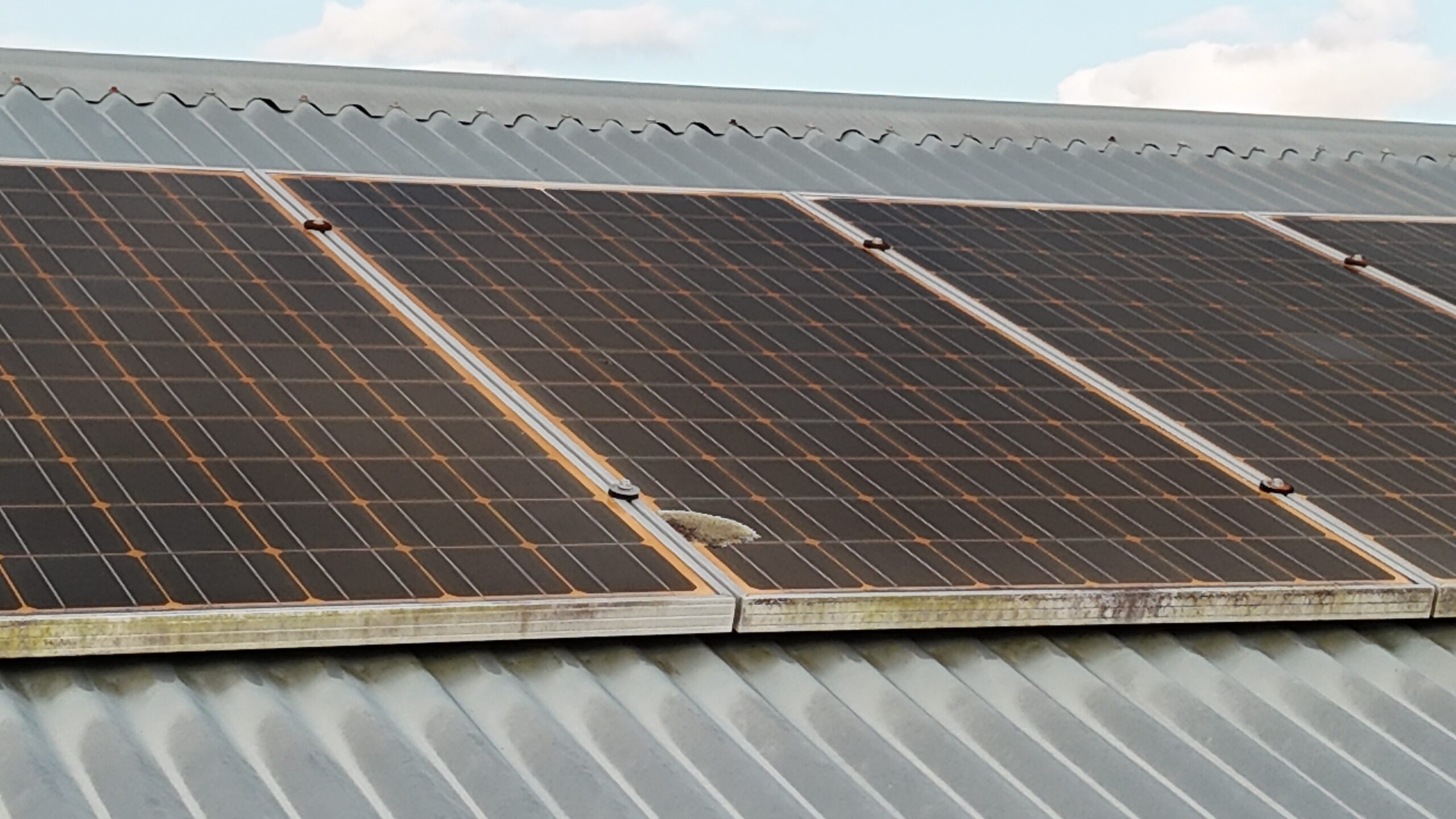 Close-up aerial view of solar panels on a Brisbane roof