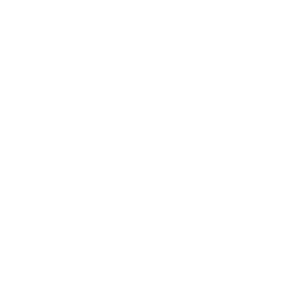 Brisdrone drone and Story Bridge logo