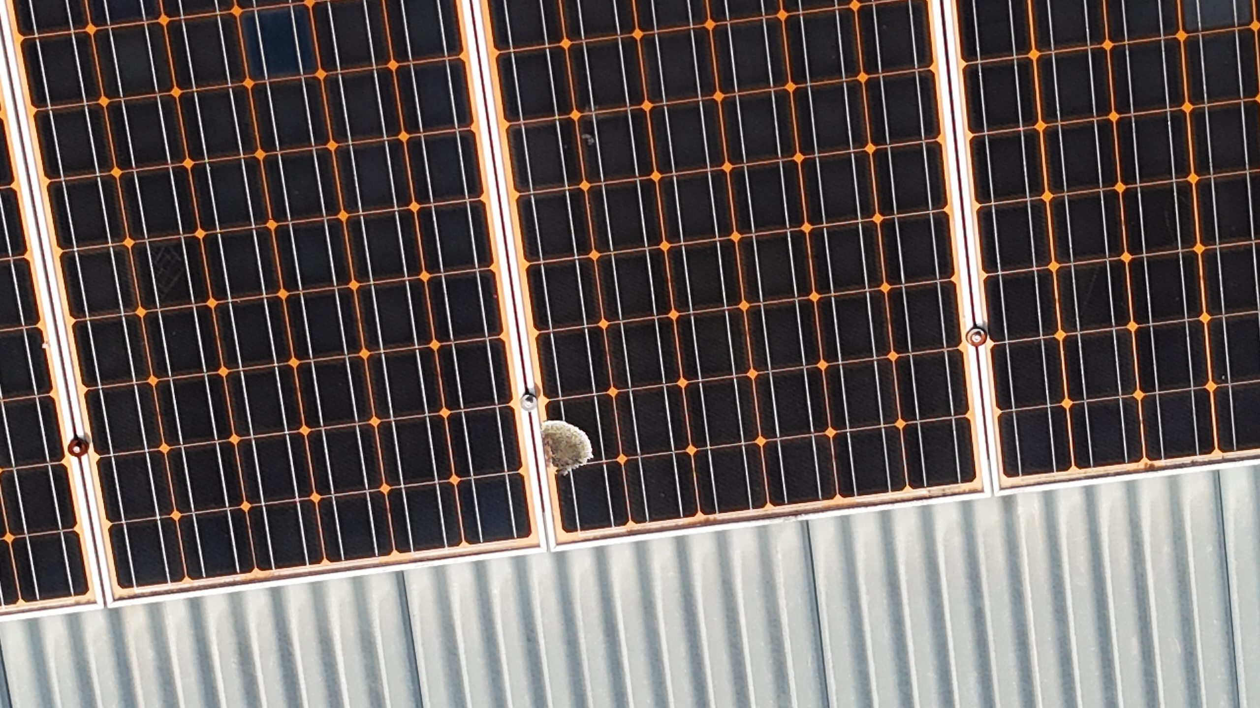 Close-up aerial detail of photovoltaic solar panels mounted on a metal roof, showing individual cells and mounting hardware.